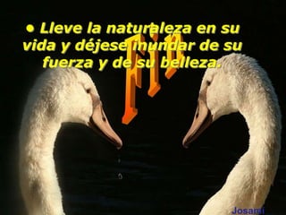 • Lleve la naturaleza en su
vida y déjese inundar de su
   fuerza y de su belleza.




                         Josami
 