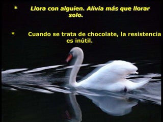 *   Llora con alguien. Alivia más que llorar
                 solo.


*   Cuando se trata de chocolate, la resistencia
                es inútil.
 