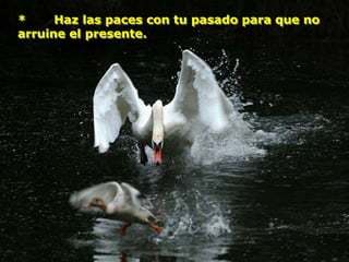 *     Haz las paces con tu pasado para que no
arruine el presente.
 