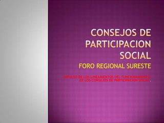 CONSEJOS DE PARTICIPACION SOCIAL FORO REGIONAL SURESTE IMPULSO DE LOS LINEAMIENTOS DEL FUNCIONAMIENTO, DE LOS CONSEJOS DE PARTICIPACION SOCIAL. 
