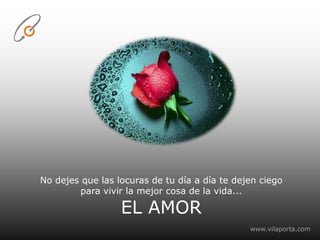 No dejes que las locuras de tu día a día te dejen ciego para vivir la mejor cosa de la vida...EL AMORwww.vilaporta.com