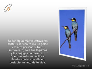 Si por algún motivo estuvieras triste, si la vida te dio un golpey la otra persona sufre tu sufrimiento, llora tus lágrimasy las enjuga con ternura...Que cosa más maravillosa:Puedes contar con ella en cualquier minuto de tu vida.www.vilaporta.com