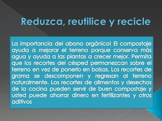 Consejos ecologicos realidad nacional
