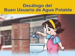 Consejos ecologicos realidad nacional