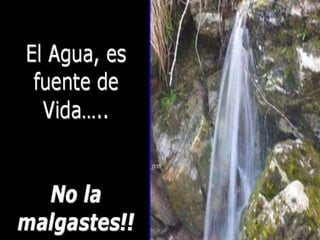 Consejos ecologicos realidad nacional