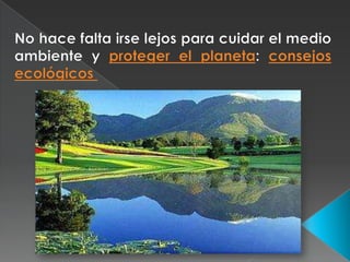 No hace falta irse lejos para cuidar el medio ambiente y proteger el planeta: consejos ecológicos <br />