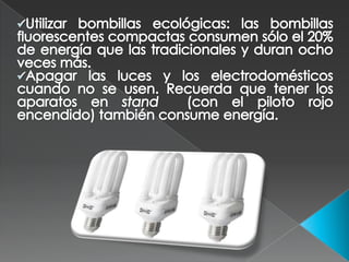 Elegir productos de limpieza sin cloro y evitar detergentes con fosfatos y tensoactivos químicos.</li></li></ul><li><ul><l...