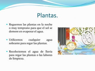 Plantas.Reguemos las plantas en la noche o muy temprano para que el sol se demore en evaporar el agua.Utilicemos cualquier agua sobrante para regar las plantas.Recolectemos el agua de lluvia para regar las plantas o las labores de limpieza.