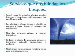 Serviciosquenosbrindan los bosques.Son el hogar de animales, plantas, muchosinsectos y organismosmicroscópicos, queequilibran la vida.Las plantas y árbolestoman el dióxido de carbono y luegoliberan el oxígenoquerespiramos.Nosdanhermosospaisajes y espaciostranquilos.Reducen el efecto de huracanes, ciclonesy tormentas; evitandoinundacionesy deslaves.Nosbrindasfrutos, madera y materia prima paramuchosproductos.
