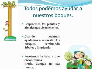 Todospodemosayudar a nuestrosboques.Respetemoslasplantas y aimalesqueviven en ellos.Cuandopodamosayudemos a reforestar los bosques, sembrandoárboles y limpiando.Recojamos la basuraqueencontremostirada, aunque no sea nuestra.