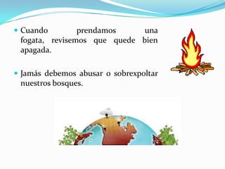 Cuandoprendamosunafogata, revisemosquequedebienapagada.Jamásdebemosabusar o sobrexpoltarnuestrosbosques.