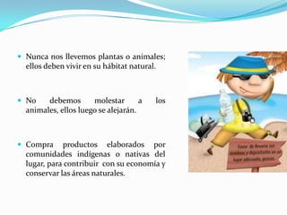 Nunca nos llevemos plantas o animales; ellos deben vivir en su hábitat natural.No debemos molestar a los animales, ellos luego se alejarán.Compra productos elaborados por comunidades indígenas o nativas del lugar, para contribuir  con su economía y conservar las áreas naturales.