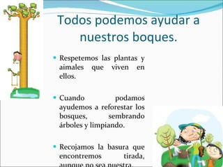 Todos podemos ayudar a nuestros boques. Respetemos las plantas y aimales que viven en ellos. Cuando podamos ayudemos a reforestar los bosques, sembrando árboles y limpiando. Recojamos la basura que encontremos tirada, aunque no sea nuestra. 