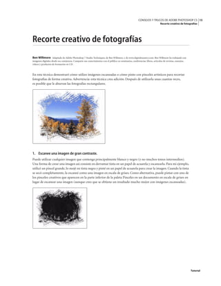 15
CONSEJOS Y TRUCOS DE ADOBE PHOTOSHOP CS
Recorte creativo de fotografías
Tutorial
Recorte creativo de fotografías
Ben Willmore Adaptado de Adobe Photoshop 7 Studio Techniques, de Ben Willmore, y de www.digitalmastery.com. Ben Willmore ha trabajado con
imágenes digitales desde sus comienzos. Comparte sus conocimientos con el público en seminarios, conferencias, libros, artículos de revistas, consejos,
vídeos y productos de formación en CD.
En esta técnica demostraré cómo utilizo imágenes escaneadas o cómo pinto con pinceles artísticos para recortar
fotografías de forma creativa. Advertencia: esta técnica crea adición. Después de utilizarla unas cuantas veces,
es posible que le aburran las fotografías rectangulares.
1. Escanee una imagen de gran contraste.
Puede utilizar cualquier imagen que contenga principalmente blanco y negro (y no muchos tonos intermedios).
Una forma de crear una imagen así consiste en derramar tinta en un papel de acuarela y escanearla. Para mi ejemplo,
utilicé un pincel grande, lo mojé en tinta negra y pinté en un papel de acuarela para crear la imagen. Cuando la tinta
se secó completamente, la escaneé como una imagen en escala de grises. Como alternativa, puede pintar con uno de
los pinceles creativos que aparecen en la parte inferior de la paleta Pinceles en un documento en escala de grises en
lugar de escanear una imagen (aunque creo que se obtiene un resultado mucho mejor con imágenes escaneadas).
 