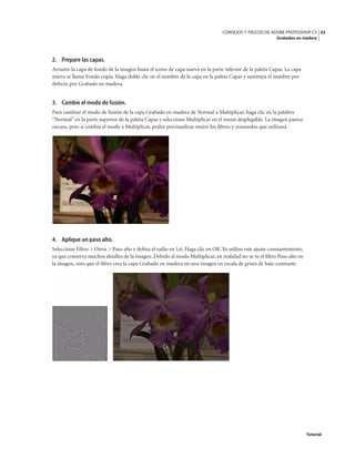 32
CONSEJOS Y TRUCOS DE ADOBE PHOTOSHOP CS
Grabados en madera
Tutorial
2. Prepare las capas.
Arrastre la capa de fondo de la imagen hasta el icono de capa nueva en la parte inferior de la paleta Capas. La capa
nueva se llama Fondo copia. Haga doble clic en el nombre de la capa en la paleta Capas y sustituya el nombre por
defecto por Grabado en madera.
3. Cambie el modo de fusión.
Para cambiar el modo de fusión de la capa Grabado en madera de Normal a Multiplicar, haga clic en la palabra
“Normal” en la parte superior de la paleta Capas y seleccione Multiplicar en el menú desplegable. La imagen parece
oscura, pero si cambia el modo a Multiplicar, podrá previsualizar mejor los filtros y comandos que utilizará.
4. Aplique un paso alto.
Seleccione Filtro > Otros > Paso alto y defina el radio en 1,6. Haga clic en OK.Yo utilizo este ajuste constantemente,
ya que conserva muchos detalles de la imagen. Debido al modo Multiplicar, en realidad no se ve el filtro Paso alto en
la imagen, sino que el filtro crea la capa Grabado en madera en una imagen en escala de grises de bajo contraste.
 