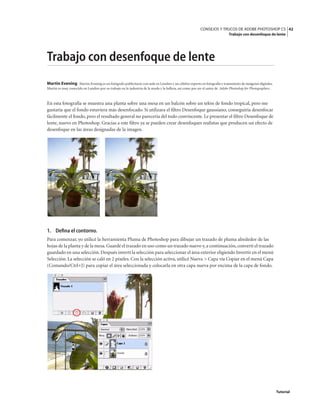 42
CONSEJOS Y TRUCOS DE ADOBE PHOTOSHOP CS
Trabajo con desenfoque de lente
Tutorial
Trabajo con desenfoque de lente
Martin Evening Martin Evening es un fotógrafo publicitario con sede en Londres y un célebre experto en fotografía y tratamiento de imágenes digitales.
Martin es muy conocido en Londres por su trabajo en la industria de la moda y la belleza, así como por ser el autor de Adobe Photoshop for Photographers.
En esta fotografía se muestra una planta sobre una mesa en un balcón sobre un telón de fondo tropical, pero me
gustaría que el fondo estuviera más desenfocado. Si utilizara el filtro Desenfoque gaussiano, conseguiría desenfocar
fácilmente el fondo, pero el resultado general no parecería del todo convincente. Le presentar el filtro Desenfoque de
lente, nuevo en Photoshop. Gracias a este filtro ya se pueden crear desenfoques realistas que producen un efecto de
desenfoque en las áreas designadas de la imagen.
1. Defina el contorno.
Para comenzar, yo utilicé la herramienta Pluma de Photoshop para dibujar un trazado de pluma alrededor de las
hojas de la planta y de la mesa.Guardé el trazado en uso como un trazado nuevo y,a continuación,convertí el trazado
guardado en una selección.Después invertí la selección para seleccionar el área exterior eligiendo Invertir en el menú
Selección. La selección se caló en 2 píxeles. Con la selección activa, utilicé Nueva > Capa vía Copiar en el menú Capa
(Comando/Ctrl+J) para copiar el área seleccionada y colocarla en otra capa nueva por encima de la capa de fondo.
 