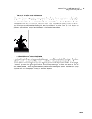 43
CONSEJOS Y TRUCOS DE ADOBE PHOTOSHOP CS
Trabajo con desenfoque de lente
Tutorial
2. Creación de una máscara de profundidad.
Volví a cargar el trazado de pluma como selección e hice clic en el botón Guardar selección como canal en la paleta
Canales.Así creé un nuevo canal alfa. Después dibujé otro trazado de pluma para definir el contorno del borde de la
mesa, menos donde la maceta hace intersección con la mesa y lo convertí en otra selección. Con el canal alfa activo,
definí la herramienta Degradado en negro como color frontal, con el botón Degradado reflejado seleccionado en la
barra de opciones de herramientas y la herramienta Degradado en el modo de fusión Trama.Así se creó un canal alfa
que puede utilizarse como mapa de profundidad con el filtro Desenfoque de lente.
3. El cuadro de diálogo Desenfoque de lente.
A continuación, activé la capa copiada en la paleta Capas, abrí el menú Filtro y seleccioné Desenfocar > Desenfoque
de lente. La sección Mapa de profundidad muestra el canal alfa que acabo de crear como origen. El valor de
desenfocar plano focal se corresponde con el valor de píxeles de la máscara de mapa de profundidad.En este ejemplo,
al disminuir el valor, el filtro aplicará gradualmente más desenfoque a la imagen basándose en la gradación tonal del
canal alfa seleccionado. El mapa de profundidad se utiliza fundamentalmente para crear una profundidad de campo
muy superficial con el enfoque por detrás y por delante de la planta.
 