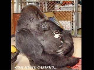 COM MUITO CARINHO...
 