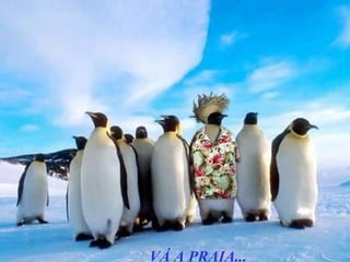 VÁ A PRAIA...
 