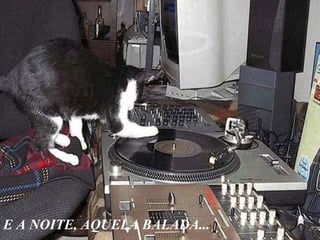 E A NOITE, AQUELA BALADA...
 