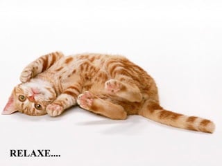 RELAXE....
 