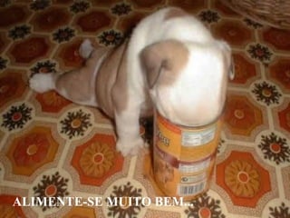 ALIMENTE-SE MUITO BEM...
 
