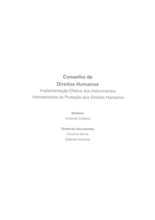 Implementação Efetiva dos Instrumentos Internacionais de Proteção aos Direitos Humanos (CDH)
