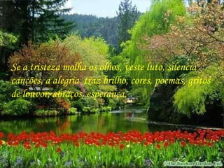 Se a tristeza molha os olhos, veste luto, silencia canções, a alegria  traz brilho, cores, poemas, gritos de louvor, abraços, esperança. 