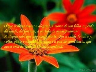 O que poderia matar a alegria? A morte de um filho, a perda da saúde, da fortuna, a partida de quem amamos?  A alegria sabe que não existe morte. Que a saúde foi ali e já volta; que a verdadeira fortuna é a paz de consciência; que quem ama de verdade jamais abandona. 