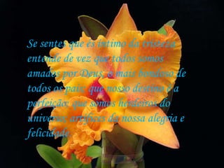 Se sentes que és íntimo da tristeza entende de vez que todos somos amados por Deus, o mais bondoso de todos os pais; que nosso destino é a  perfeição; que somos herdeiros do universo; artífices da nossa alegria e felicidade. 