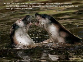 14.-  Não perca seu precioso tempo imerso em rumores, coisas do passado, pensamentos negativos ou coisas além de seu controle. É melhor investir sua energia positiva no presente. 