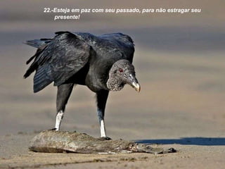 22.-Esteja em paz com seu passado, para não estragar seu presente! 