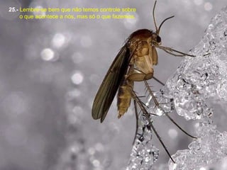 25.-  Lembre-se bem que não temos controle sobre o que acontece a nós, mas só o que fazemos. 