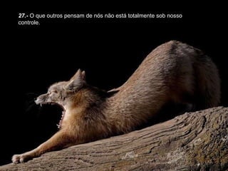 27.-  O que outros pensam de nós não está totalmente sob nosso controle. 