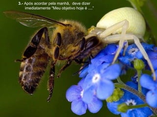   3 .-  Após acordar pela manhã,  deve dizer imediatamente "Meu objetivo hoje é ....” 