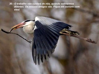 30.- O trabalho não cuidará de nós, quando estivermos doentes. Os nossos amigos vão. Fique em contato com eles! 