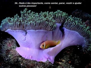 34.- Nada é tão importante, como sentar, parar, vestir e ajudar outras pessoas! 
