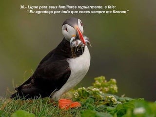 36.- Ligue para seus familiares regularmente. e fale: “  Eu agradeço por tudo que voces sempre me fizeram” 