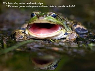 37.- Todo dia, antes de dormir, diga: “  Eu estou grato, pelo que aconteceu de bom no dia de hoje! 