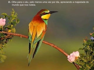 8.-  Olhe para o céu, pelo menos uma vez por dia, apreciando a majestade do mundo que nos rodeia. 