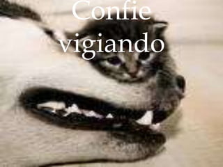 Confie vigiando