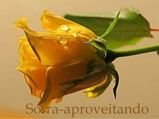 Sofra-aproveitando