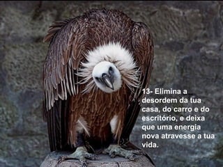 13- Elimina a
desordem da tua
casa, do carro e do
escritório, e deixa
que uma energia
nova atravesse a tua
vida.
 