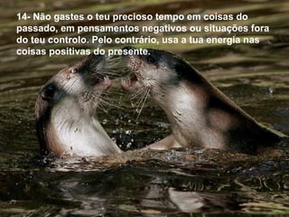 14- Não gastes o teu precioso tempo em coisas do
passado, em pensamentos negativos ou situações fora
do teu controlo. Pelo contrário, usa a tua energia nas
coisas positivas do presente.
 