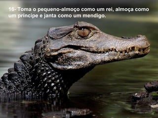 16- Toma o pequeno-almoço como um rei, almoça como
um príncipe e janta como um mendigo.
 