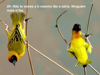 20- Não te tomes a ti mesmo tão a sério. Ninguém
mais o faz.
 