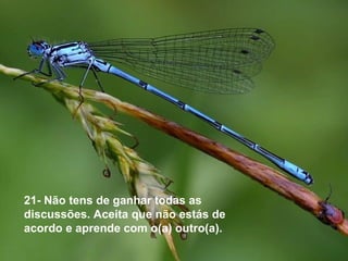 21- Não tens de ganhar todas as
discussões. Aceita que não estás de
acordo e aprende com o(a) outro(a).
 