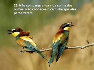 23- Não compares a tua vida com a dos
outros. Não conheces o caminho que eles
percorreram.
 