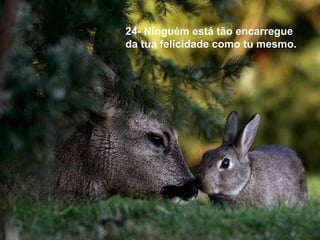 24- Ninguém está tão encarregue
da tua felicidade como tu mesmo.
 