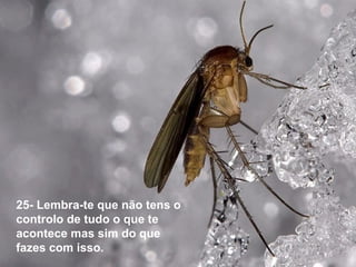 25- Lembra-te que não tens o
controlo de tudo o que te
acontece mas sim do que
fazes com isso.
 
